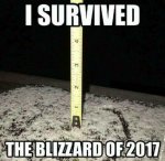 Blizzard of 2017.jpg