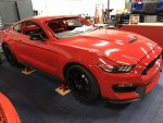 IMG_0233.jpg