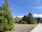 DSC00638.jpg
