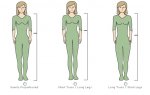 short long torso.jpg