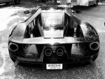 000806C4-746A-4F56-8C35-A5978EBDD94D.jpg