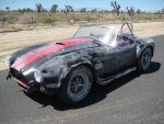 cobra-police_2_-_Copy.jpg