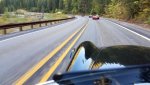 20180912_094449.jpg 20180912_094449.jpg