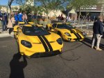 IMG_3838.jpg