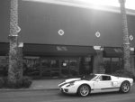 saleen.jpg