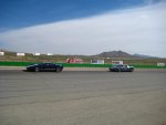 IMG_8803s.jpg
