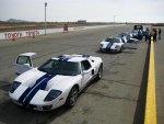 IMG_8830s.jpg