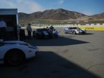 IMG_8968s.jpg