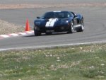 IMG_8898s.jpg