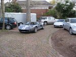 crowded yard.JPG