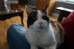 DSC05855.JPG
