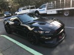 IMG_0074.jpeg
