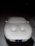 snow on GT 2.jpg