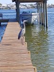 Wally boat lo res.jpg