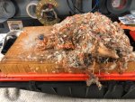Air Filter 3.jpg