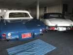 IMG_4501.jpeg