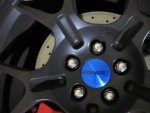 Blu whl caps1r.jpg