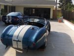 viper.cobra3.JPG