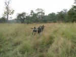 Tanzania 4.jpg