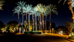 PXL_20211030_015607455.NIGHTa.png