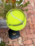 IMG_1368.jpeg