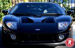 ShelbySeg_013.jpg