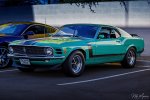 Boss 3.jpg