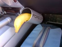 IMG-20121009-00010-1.jpg
