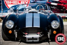 Shelby2014-1743.jpg