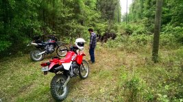 IMG_20190318_123656b.jpg