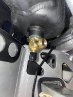 IMG_1337.jpeg