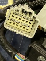 IMG_2615[1].JPG
