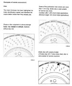 0B90B64D-8157-4DD2-B84E-10A96008D07C.jpeg