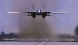 f-14low.jpg