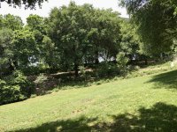 IMG_0414.jpeg