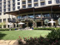 IMG_0415.jpeg