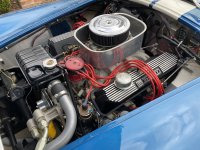 IMG_7255.jpeg