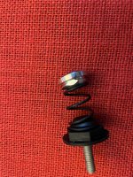 IMG_2699.jpeg