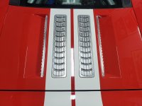 IMG_2142.jpeg