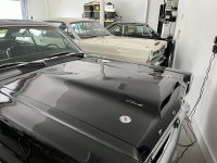 IMG_5206.jpeg