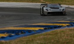 IMG_2971.jpeg