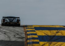 IMG_2975.jpeg