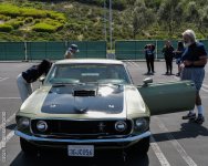 cars-1010317.jpg