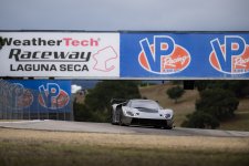 MM1_8477.jpg MM1_8477.jpg