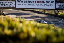 MM1_7071.jpg MM1_7071.jpg