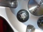 DSC01060.jpg