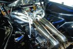 headers2.jpg