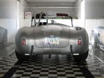 Last Cobra 3.jpg
