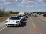 Copy_of_DSC00496.JPG