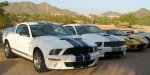 2 Mustangs.jpg